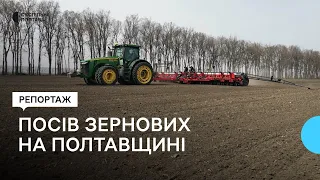 На Полтавщині аграрії завершують посів ранніх зернових культур