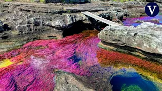 Caño Cristales, el río más bonito del mundo, ya se puede visitar después de varias décadas cerrado