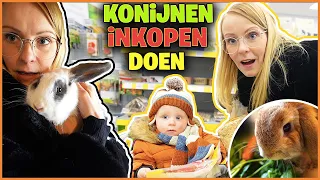 ONZE KONiJNEN HEBBEN HET KOUD! KONIJNENVERBLiJF UPDATE!  😱 | Bellinga Vlog #2676