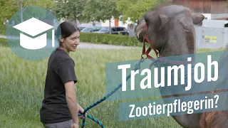 Ein Tag im Leben einer Zootierpflegerin | Studentenfilme | Studio 1