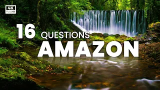 16 Most Asked Questioned About Amazon Rainforest | Amazon Rainforest Documentary
