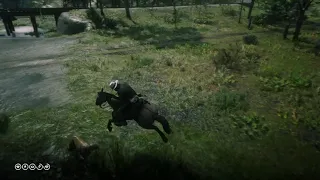 Tiger Striped Bay Mustang vs Cougar : Red Dead Redemption 2