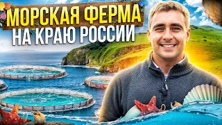 Бизнес в посёлке с нуля. Переезд из Москвы на окраину. Гребешок, туристы и 120 гектаров моря.