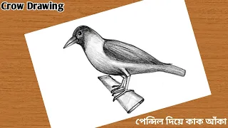 How to draw a crow | How to draw a crow easy | Bird drawing | How to draw