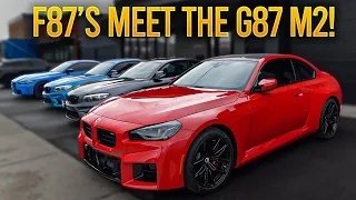 F87 M2 Owners React to the G87 M2!