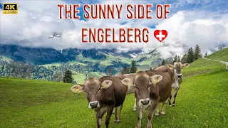 Most beautiful places in Switzerland - Engelberg Brunni 4K