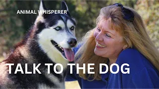 The Woman who Talks to Animals