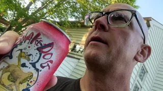 Kitty Kat Recess Flying Dog IPA Video