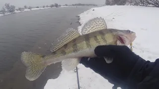 Зимний спиннинг в ЧУЛКОВО! Погода меняется, рыба капризна! Рыбалка в феврале!!!