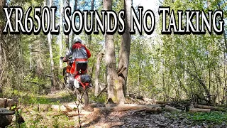 Honda XR650L Sounds & Sights No Talking Video 🔇