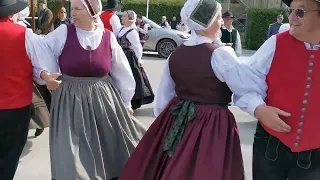 20240323  DOMZALE VELIKONOČNI SEJEM S POSTAVITVIJO BUTARE VELIKANKE FOLKLORNA SKUPINA GROBLJE