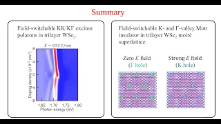 Tunable Gamma- and K-valley exciton polarons and correlated states in trilayer WSe2