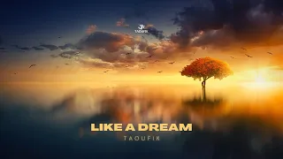 Taoufik - Like A Dream (Official Music Video)