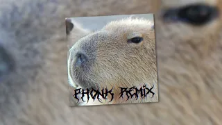 Сто-Личный Она-Нас, DXXDLY - Capybara (phonk remix) (Official audio)