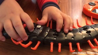 Animal Planet Remote Contol Centipede Review