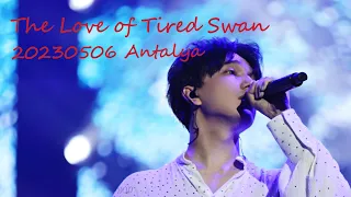 20230506 Dimash Antalya concert  The Love of Tired Swan