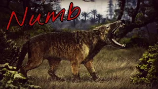 Hyaenodon Tribute "Numb"