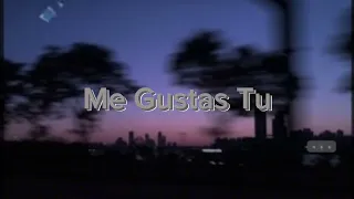 |Manu Chao|》Me Gustas Tu》(sped up)