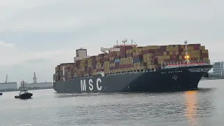 MSC CONTAINER SHIP