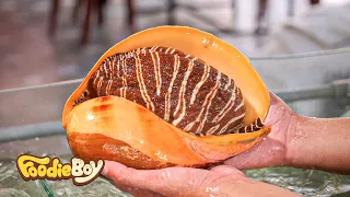 Rare Giant Monster Sea Snail Cooking! Vietnamese Seafood