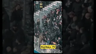 Napoli fans fight with each other after Match 🤯😱 | #shorts #napoli #osimhen #fight #championsleague