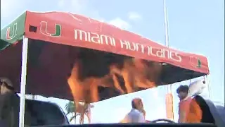 Tailgating party for Miami-Notre Dame game was on fire