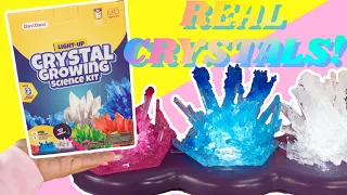 Let's Grow Crystals! Amazon Craft Kits Crystal Growing Science Kit Lights Up!