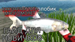 ГАЙД ДЛЯ НОВИЧКОВ - КАК ЗАРАБОТАТЬ МНОГО ДЕНЕГ - Ultimate Fishing Simulator #1