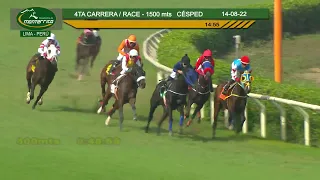 Hipódromo de Monterrico - 4ta Carrera 14AGOSTO22