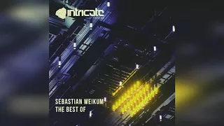 Sebastian Weikum - Best Of (Continuous DJ Mix) [Intricate Records]