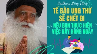 Tế Bào Ung Thư Sẽ Phải Chết Đi Nếu Bạn Thực Hiện Việc Này Hằng Ngày | Sadhguru Lồng Tiếng # 74