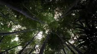 LOST opening credits season 1 [High Quality]