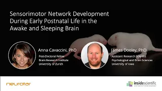 Sensorimotor Network Development During Early Postnatal Life in the Awake and Sleeping Brain