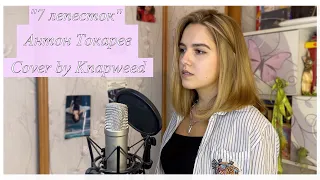 Антон Токарев (Hi-Fi) - "Седьмой лепесток" (Cover by Knapweed)