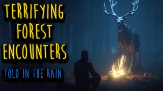 TERRIFYING FOREST STORIES THAT WILL GIVE YOU CHILLS | Scary Forest Horror Stories Told in the Rain