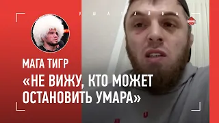 МАГА ТИГР: Умар Нурмагомедов VS Алмахан, Петр Ян, Двалишвили / "ТОПУРИЯ ОЧЕНЬ УДОБЕН ДЛЯ ЗАБИТА!"