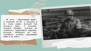 Василь Быков "Журавлиный крик" от Екатерины Пикиной из Нижнего Новгорода