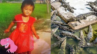 7 Horrifying Crocodile Attacks On People Around the World