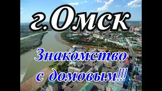 Домовой в квартире !!!  Знакомство !!!  город Омск