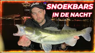 WIJ VANGEN 18 SNOEKBAARZEN IN DE NACHT! #roofvissen #snoekbaars #zander #vissen