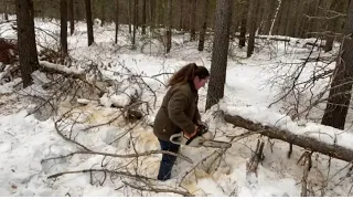 Cutting Trees & Hauling Firewood | Winter Off Grid in Montana