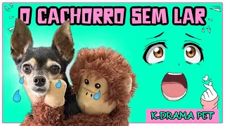 O CACHORRO QUE ERA REJEITADO E NÃO TINHA LAR | K-DRAMA PET