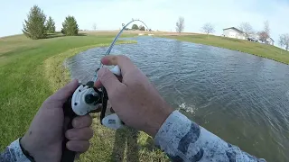 32 Bass In A Private Pond