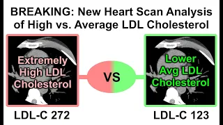 BREAKING – Match Analysis on LMHR Study Released