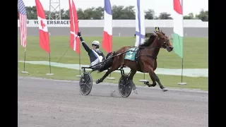 2017 International Trot - Twister Bi