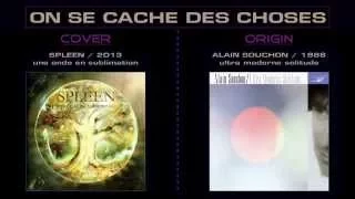 On se cache des choses - Alain Souchon - SPL [ FAN COVER ]