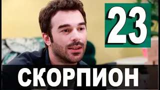 Скорпион 23 серия русская озвучка. Дата выхода и анонс