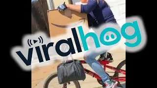 Following a Package Thief || VIralHog