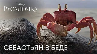 Русалочка | Себастьян в беде | Фильм 2023