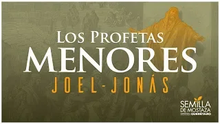 (01) Joel 1 - Clamor y ayuno - Profetas menores